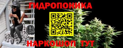 гидропоника Изобильный