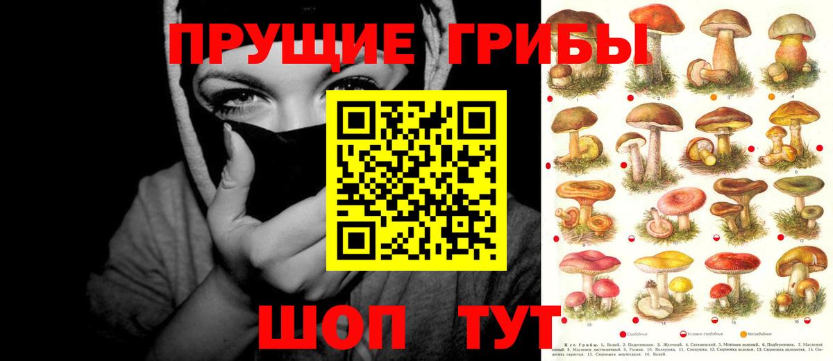 Галлюциногенные грибы Magic Shrooms Кушва